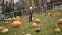 A pumpkin garden will be lit up in Birštonas this weekend - the resort will celebrate the autumn holidays in a cozy way