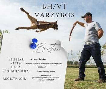 BH/VT varžybos-egzaminas. Šunų paklusnumo ir elgesio testas