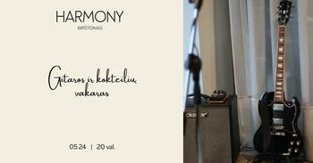 Gitaros ir kokteilių vakaras