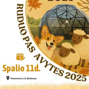 Autumn at the Sheepfolds | Welsh Corgi Gathering