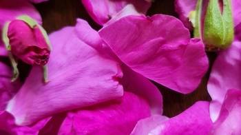 Psychosomatics. For the soul and body: from death to life