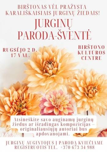 Daffodil exhibition-festival