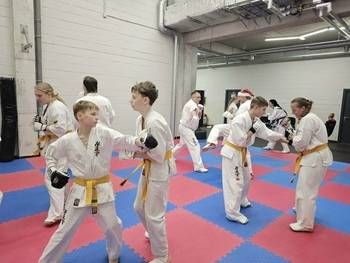 Karatistų testavimas