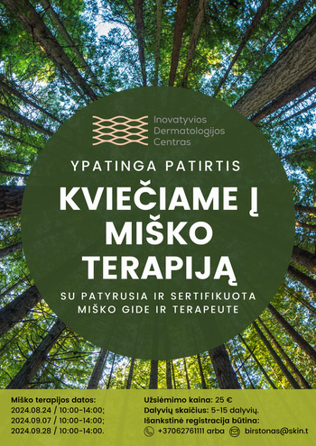 Waldtherapie mit einem erfahrenen und zertifizierten Waldführer und Therapeuten