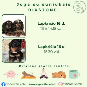 Йога со щенками