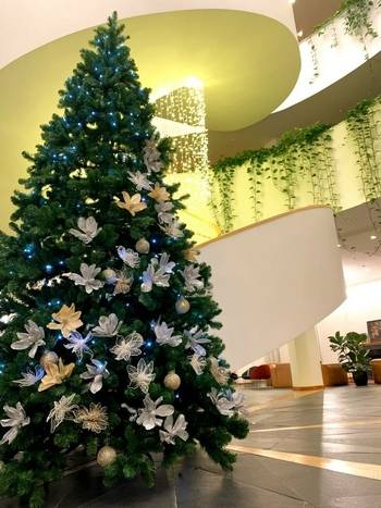 Šv. Kūčių ir Šv. Kalėdų sutikimas su Vytautas Mineral SPA