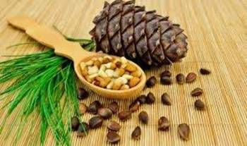 Pine nuts and pine nut oil tasting