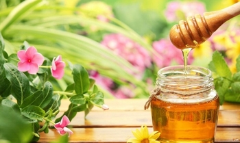 Education "Health from the Hive" with Milda Amšiejiene