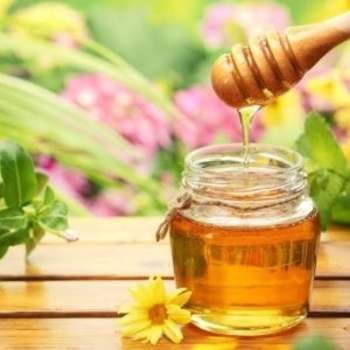Education "THE TASTE OF HONEY"