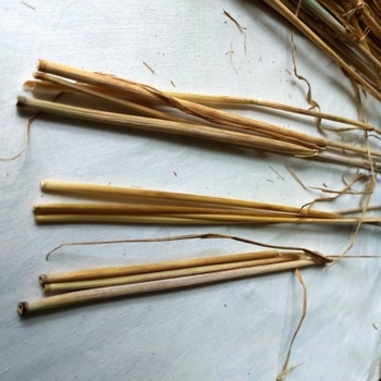 Education "Straw Tying" with Ramune Česyniene