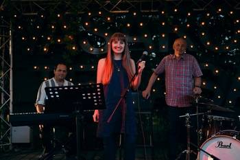 Concert of the group "Stardust Trio"