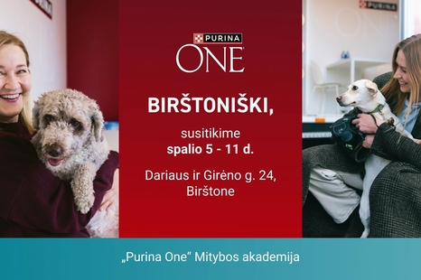 „Purina One“ Mitybos akademija